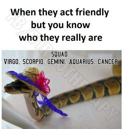 are virgos fake friends